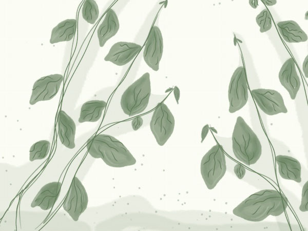 三菱空调上不显示温度是什么原因？解决步骤与方法