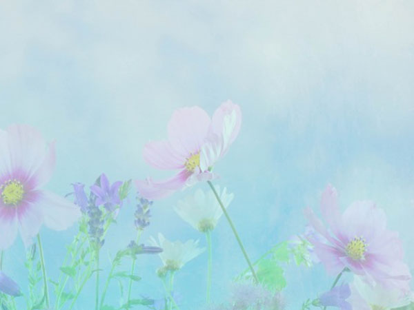 孕期为什么不能多吹空调呢(孕期为什么不能多吹空调)