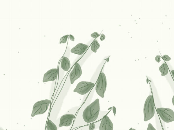 大金中央空调排水故障代码怎么解决，又出现故障怎么回事