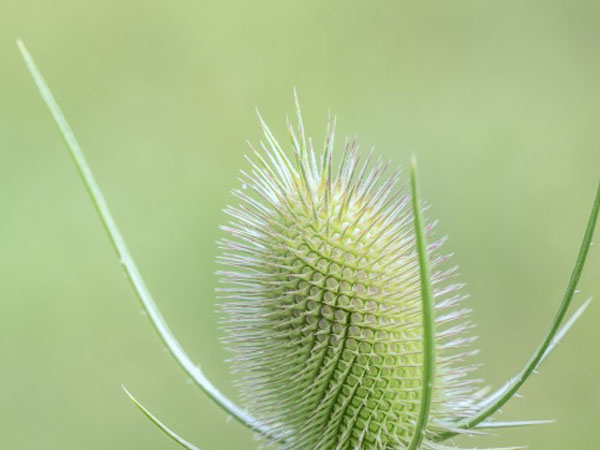 三菱空调外机主板显示0是什么原因？解决步骤与方法