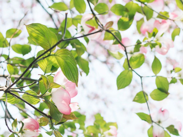 海尔空调显示不全遥控不动？怎么回事