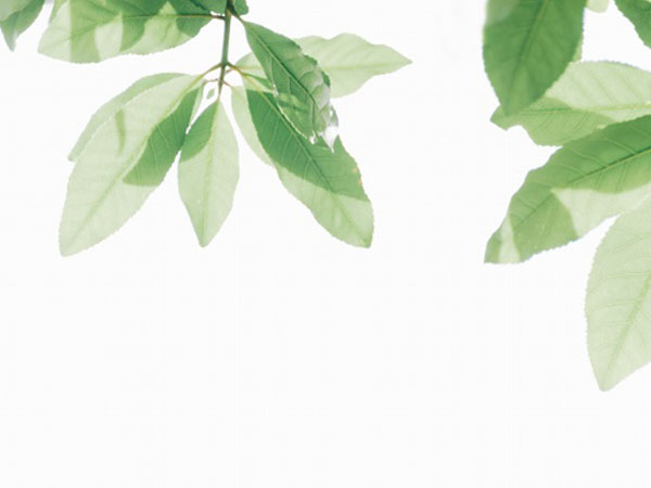 lg智能锁怎么样(lgzr智能锁全国售后热线)