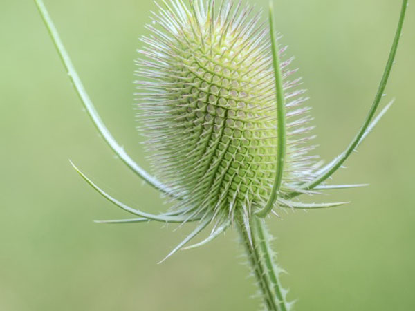 富士通中央空调面板不显示怎么处理（富士通空调不制冷怎么办）