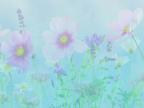 大金空调显示器没反应怎么回事儿？大金空调显示屏不显示