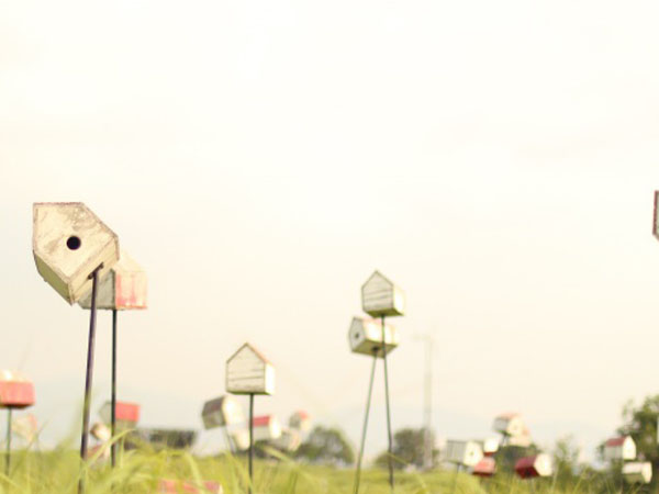 新飞侧吸式油烟机拆洗全过程(新飞侧吸油烟机拆洗教程：轻松搞定油污烦恼)