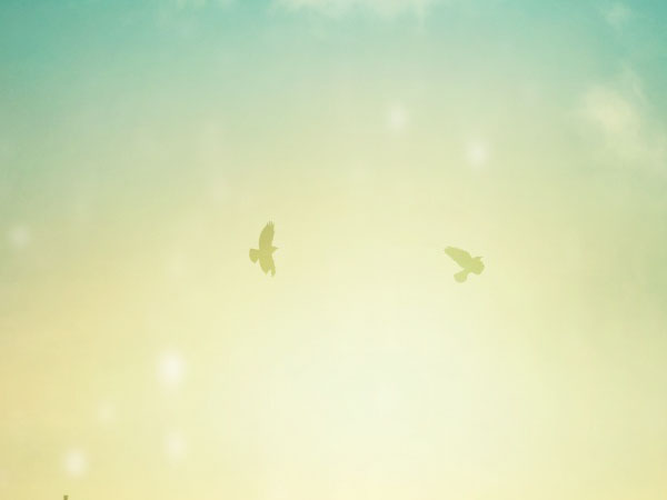 三菱电机中央空调风速显示什么故障？三菱空调开机几分钟风速变大后停机