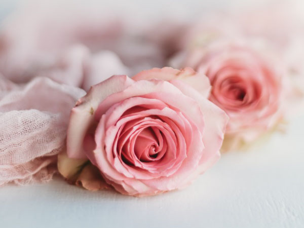 遵义保险柜不亮了怎么维修呢(遵义保险柜不亮了怎么维修)