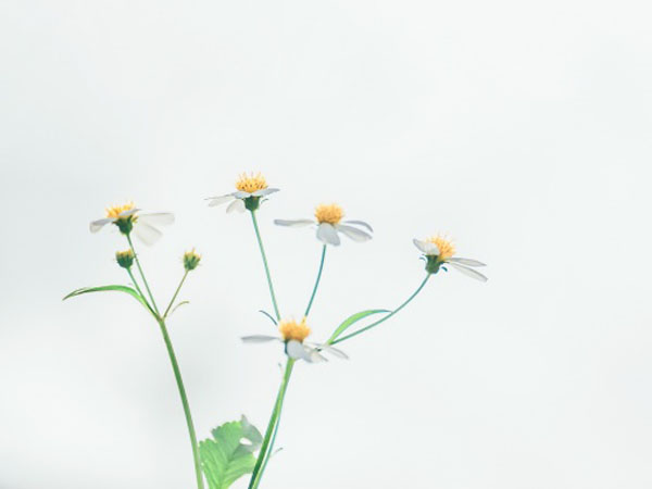 黄山油烟机售后电话(黄山油烟机售后维修服务官网-全国统一400客服热线)